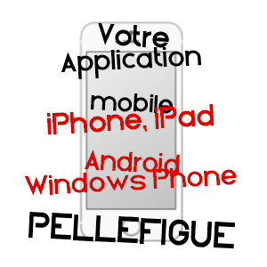 application mobile à PELLEFIGUE / GERS