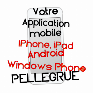 application mobile à PELLEGRUE / GIRONDE