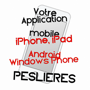 application mobile à PESLIèRES / PUY-DE-DôME