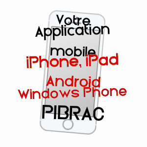 application mobile à PIBRAC / HAUTE-GARONNE