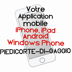 application mobile à PIEDICORTE-DI-GAGGIO / HAUTE-CORSE