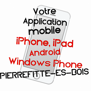 application mobile à PIERREFITTE-èS-BOIS / LOIRET