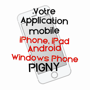 application mobile à PIGNY / CHER