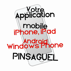application mobile à PINSAGUEL / HAUTE-GARONNE