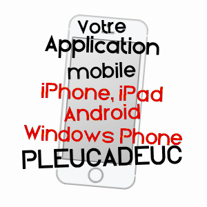 application mobile à PLEUCADEUC / MORBIHAN