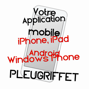 application mobile à PLEUGRIFFET / MORBIHAN