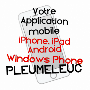 application mobile à PLEUMELEUC / ILLE-ET-VILAINE