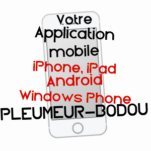 application mobile à PLEUMEUR-BODOU / CôTES-D'ARMOR