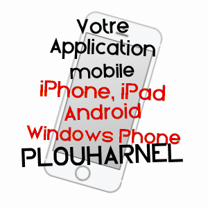 application mobile à PLOUHARNEL / MORBIHAN