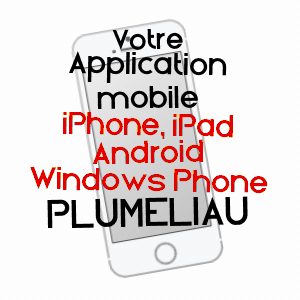 application mobile à PLUMéLIAU / MORBIHAN