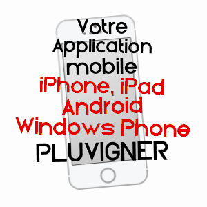 application mobile à PLUVIGNER / MORBIHAN