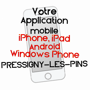 application mobile à PRESSIGNY-LES-PINS / LOIRET