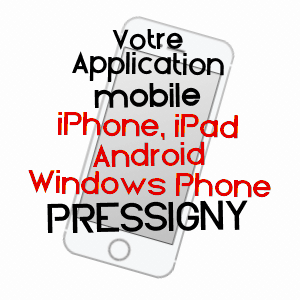 application mobile à PRESSIGNY / DEUX-SèVRES