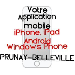 application mobile à PRUNAY-BELLEVILLE / AUBE