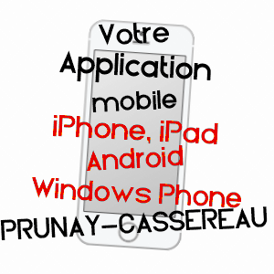 application mobile à PRUNAY-CASSEREAU / LOIR-ET-CHER