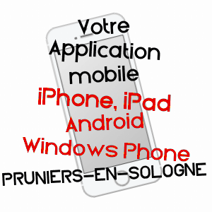 application mobile à PRUNIERS-EN-SOLOGNE / LOIR-ET-CHER