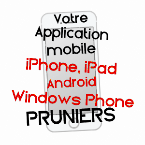 application mobile à PRUNIERS / INDRE