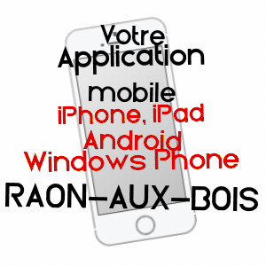 application mobile à RAON-AUX-BOIS / VOSGES