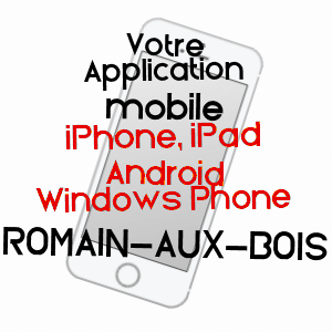 application mobile à ROMAIN-AUX-BOIS / VOSGES
