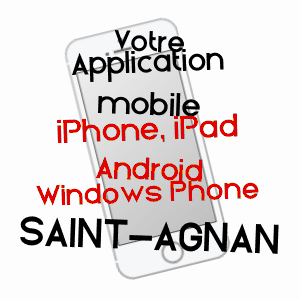 application mobile à SAINT-AGNAN / YONNE