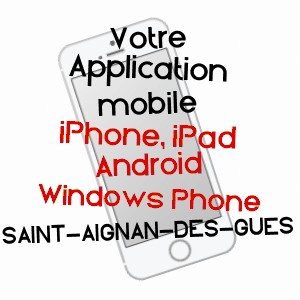 application mobile à SAINT-AIGNAN-DES-GUéS / LOIRET