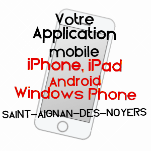 application mobile à SAINT-AIGNAN-DES-NOYERS / CHER