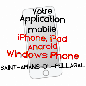 application mobile à SAINT-AMANS-DE-PELLAGAL / TARN-ET-GARONNE