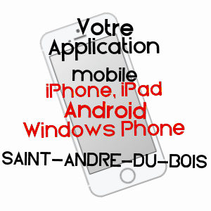 application mobile à SAINT-ANDRé-DU-BOIS / GIRONDE
