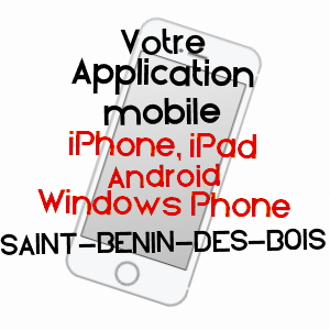 application mobile à SAINT-BENIN-DES-BOIS / NIèVRE