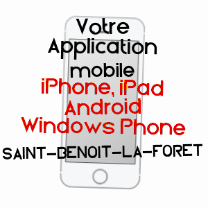 application mobile à SAINT-BENOîT-LA-FORêT / INDRE-ET-LOIRE