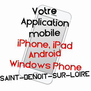 application mobile à SAINT-BENOîT-SUR-LOIRE / LOIRET