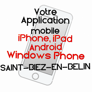 application mobile à SAINT-BIEZ-EN-BELIN / SARTHE