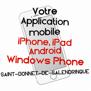 application mobile à SAINT-BONNET-DE-SALENDRINQUE / GARD