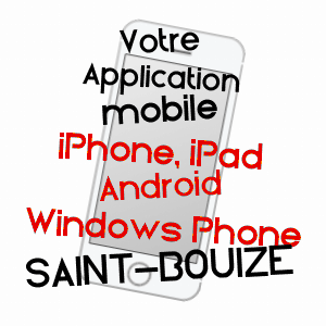 application mobile à SAINT-BOUIZE / CHER