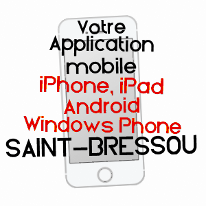 application mobile à SAINT-BRESSOU / LOT