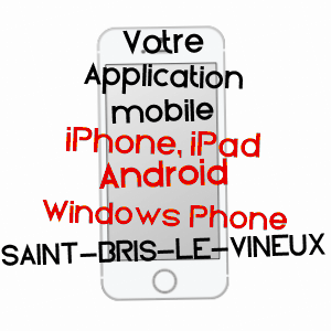 application mobile à SAINT-BRIS-LE-VINEUX / YONNE