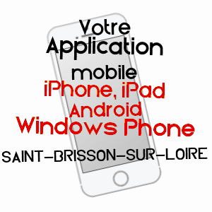 application mobile à SAINT-BRISSON-SUR-LOIRE / LOIRET