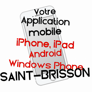 application mobile à SAINT-BRISSON / NIèVRE