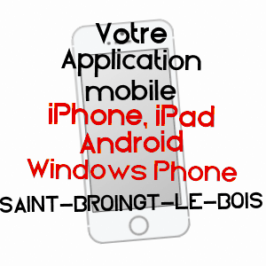 application mobile à SAINT-BROINGT-LE-BOIS / HAUTE-MARNE