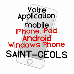 application mobile à SAINT-CéOLS / CHER