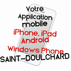 application mobile à SAINT-DOULCHARD / CHER