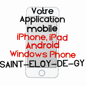 application mobile à SAINT-ELOY-DE-GY / CHER