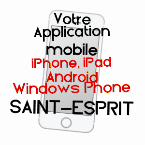 application mobile à SAINT-ESPRIT / MARTINIQUE