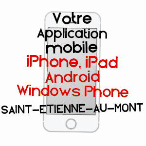 application mobile à SAINT-ETIENNE-AU-MONT / PAS-DE-CALAIS