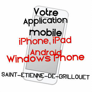 application mobile à SAINT-ETIENNE-DE-BRILLOUET / VENDéE