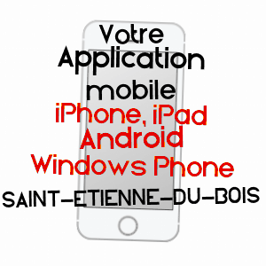 application mobile à SAINT-ETIENNE-DU-BOIS / VENDéE