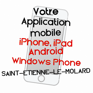 application mobile à SAINT-ETIENNE-LE-MOLARD / LOIRE
