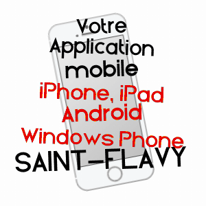application mobile à SAINT-FLAVY / AUBE