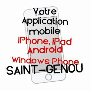 application mobile à SAINT-GENOU / INDRE