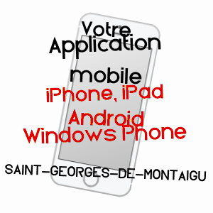 application mobile à SAINT-GEORGES-DE-MONTAIGU / VENDéE